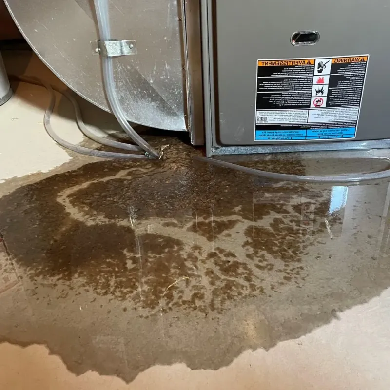 Pipe Burst and Leak Restoration in Converse, IN