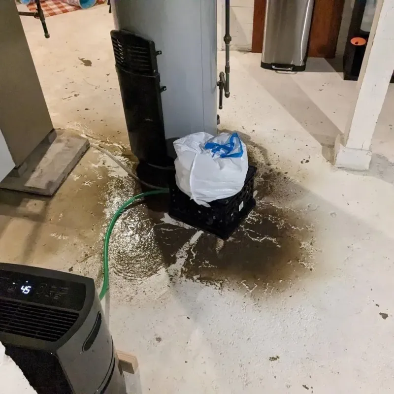 Sewage Backup Cleanup Service in Converse, IN